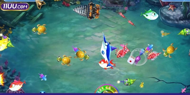 Quan sát kỹ trước khi bắn