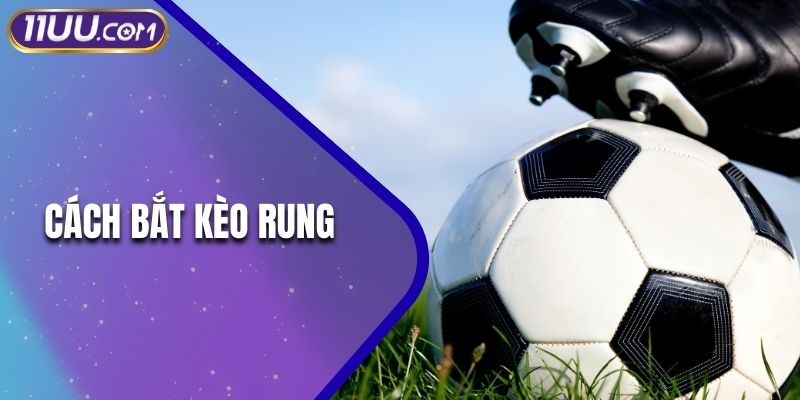 Cách Bắt Kèo Rung Hiệu Quả