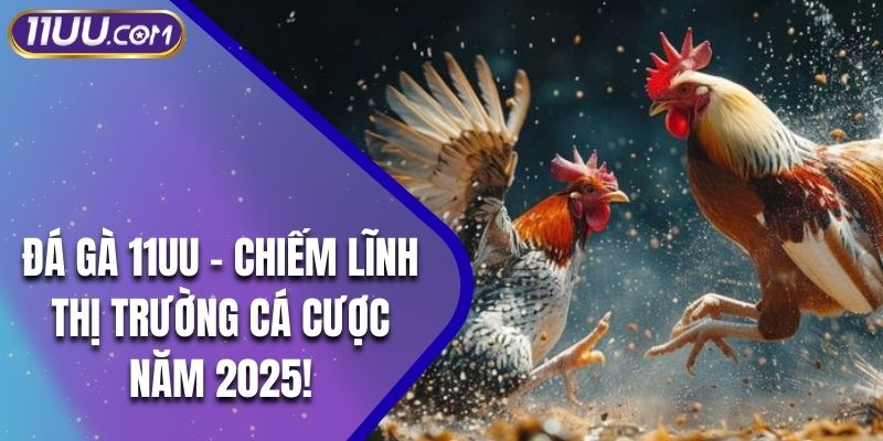 Đá Gà 11UU - Chiếm Lĩnh Thị Trường Cá Cược Năm 2025!